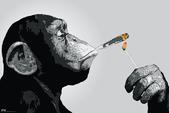 Poster Steez Monkey Joint Time Singe qui fume un joint