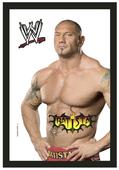 WWE Spiegel Batista