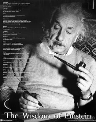 Albert Einstein Poster The Wisdom of Einstein