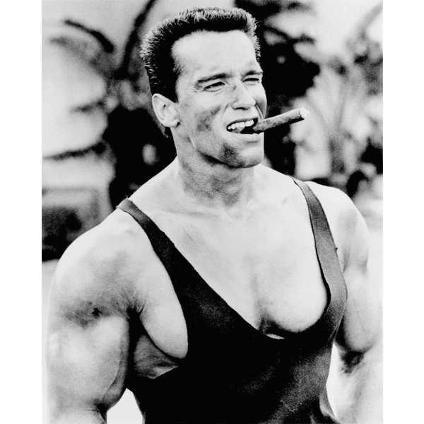 Arnold Schwarzenegger Zigarre