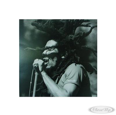 Bob Marley (Kunstdruck)