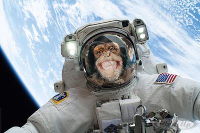 Chimps Poster Out of this world