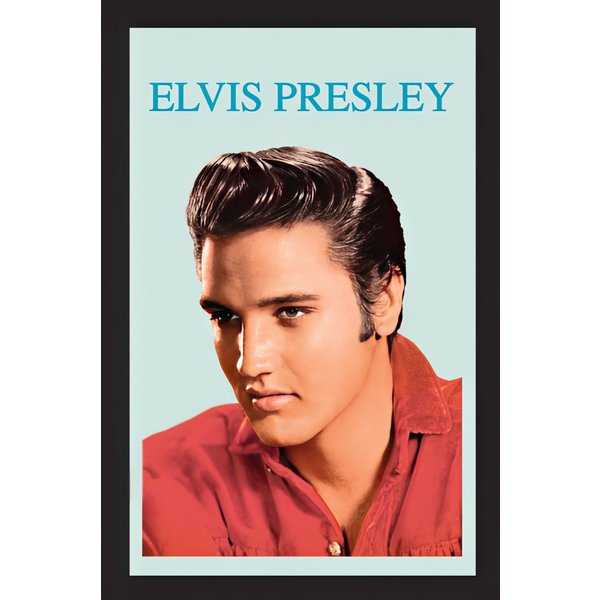 Elvis Presley Spiegel