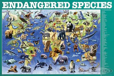 Endangered Species Poster