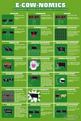 E-Cow-Nomics Poster Ökonomische Modelle Funposter