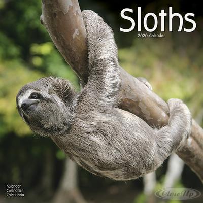 Faultier Kalender Sloths 2020