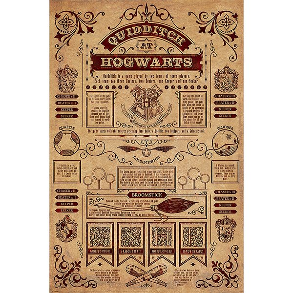 Harry Potter Poster Quidditch