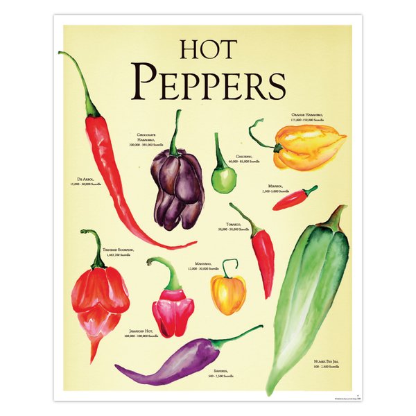 Hot Peppers Poster