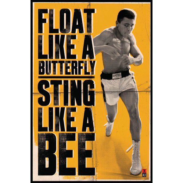 Muhammad Ali "Float and Sting"