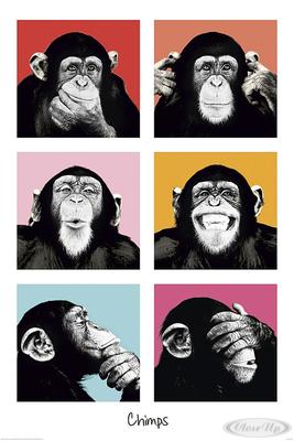 Monkey Poster Collage Chimps