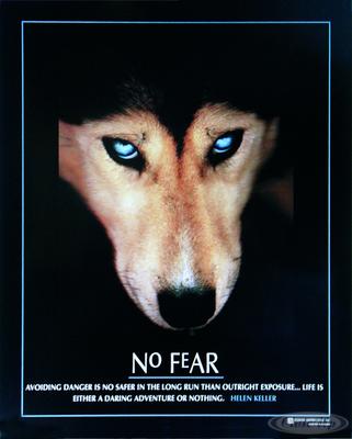 No Fear Poster