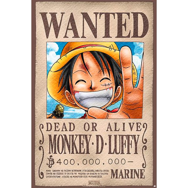 One Piece Poster Wanted
