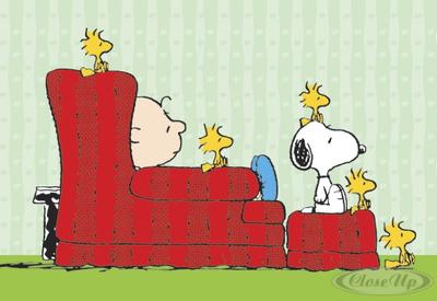 Peanuts Charlie Brown, Snoopy & Woodstocks