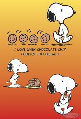 Peanuts Poster Cookies