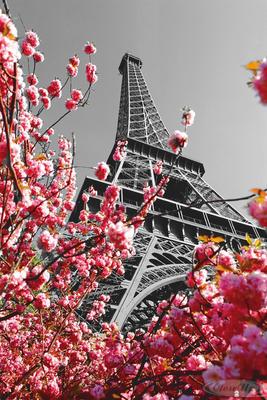 Paris Poster Eiffelturm