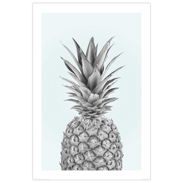 Pineapple Poster Ananas