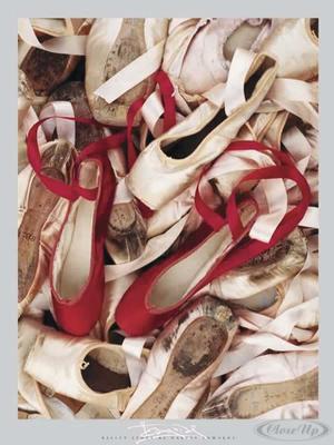 Satin Shoes Poster