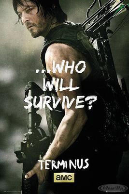 The Walking Dead Poster Daryl Survive