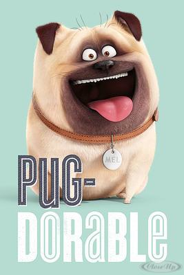 The Secret Life Of Pets Poster Pug-Dorable