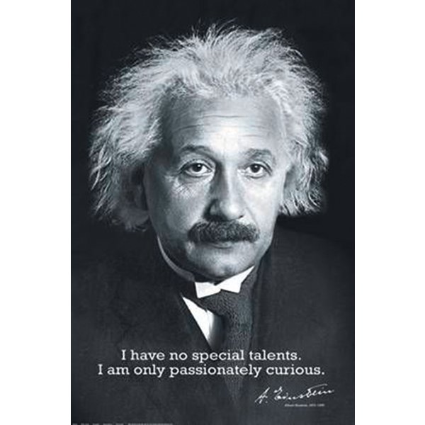 I Am Albert Einstein PDF Free Download I Am Albert Einstein PDF Free Download