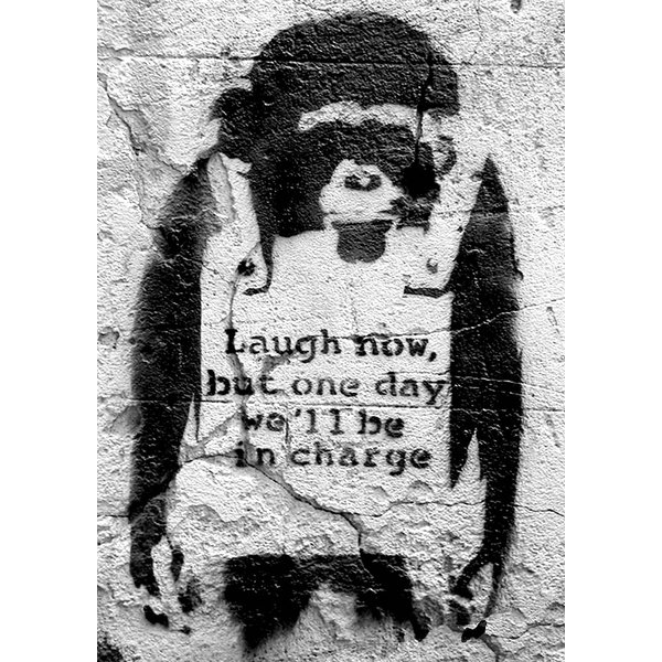 Banksy Poster Affe Laugh now,