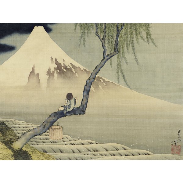 Boy on Mount Fuji Kunstdruck