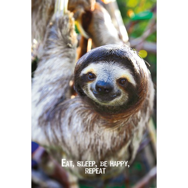 Eat, Sleep, Be Happy, Repeat