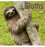 Faultier Kalender Sloths 2019