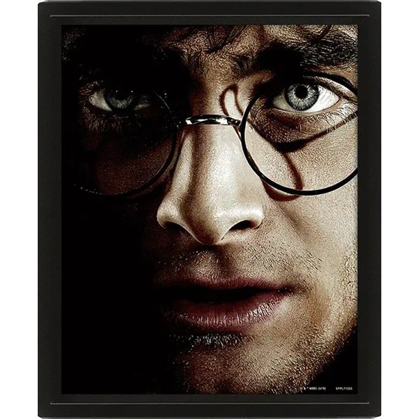 Harry Potter 3D Poster