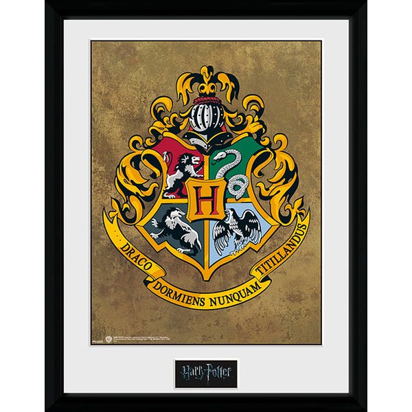 Harry Potter Collector Print