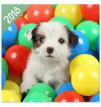 Hunde Kalender 2018