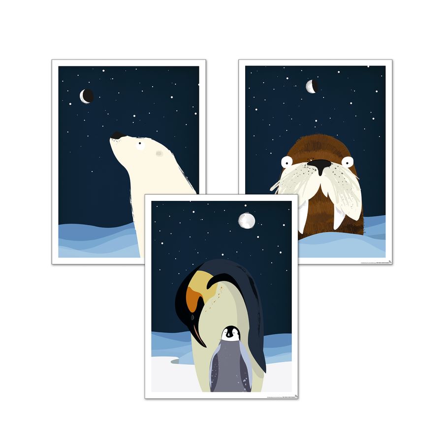 Kinderzimmer Poster Polar 3er Set Eisbar Walross Pinguin