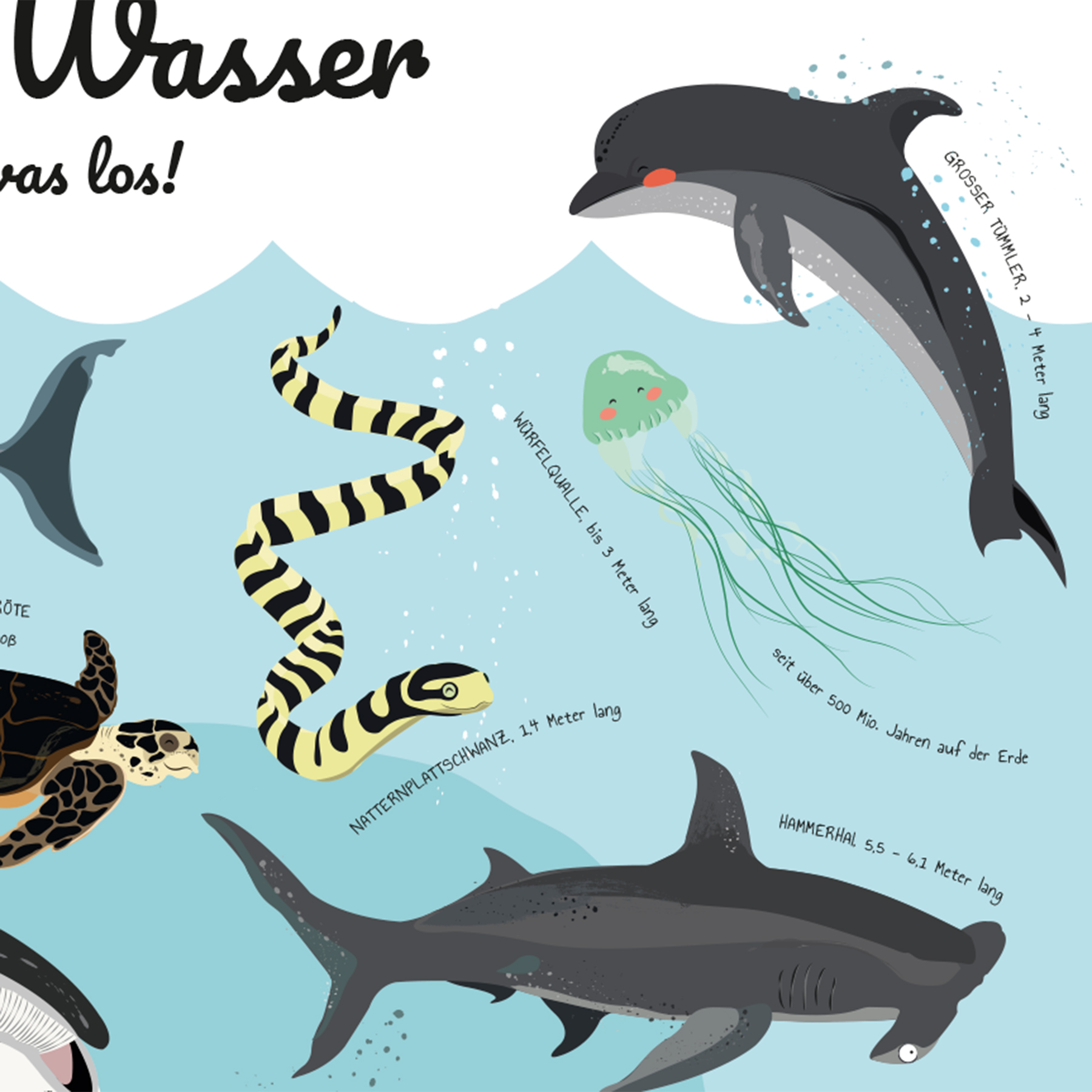 Meerestiere Poster Unter Wasser ist was los! - Poster Großformat jetzt im  Shop bestellen Close Up GmbH