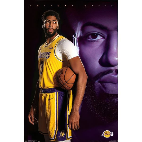 NBA Poster Anthony Davis, 19