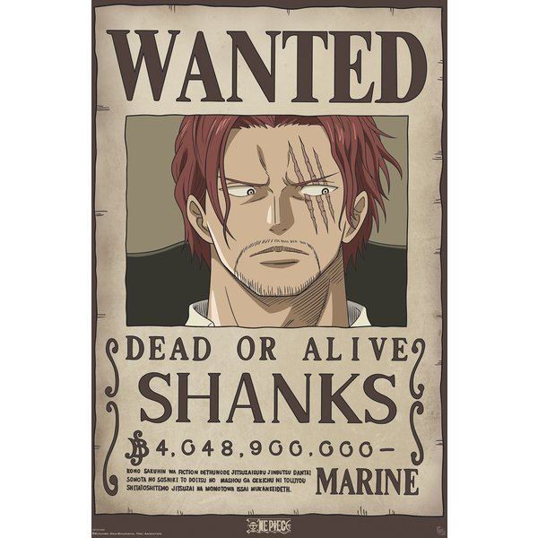 One Piece Poster Wanted