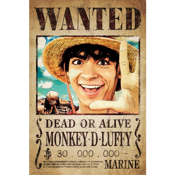 One Piece Poster Wanted Monkey