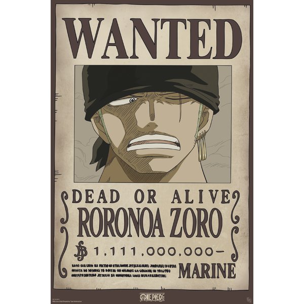 One Piece Poster Wanted