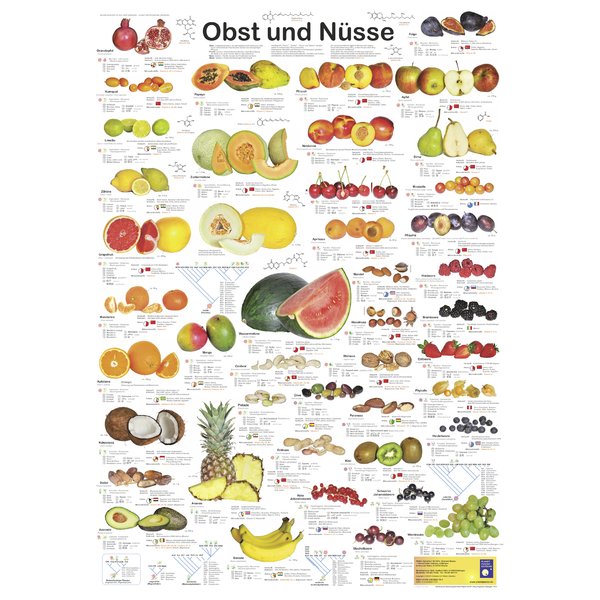 Obst und Nüsse Poster