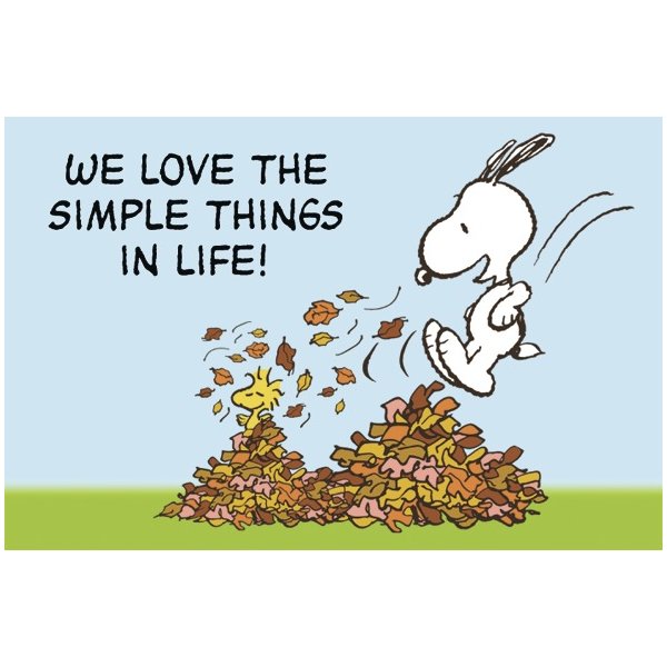 Peanuts Postkarte we love