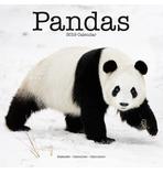 Panda Kalender 2019