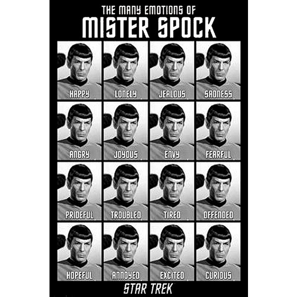 Star Trek Classics Poster The