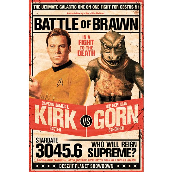 Star Trek Poster Kirk vs