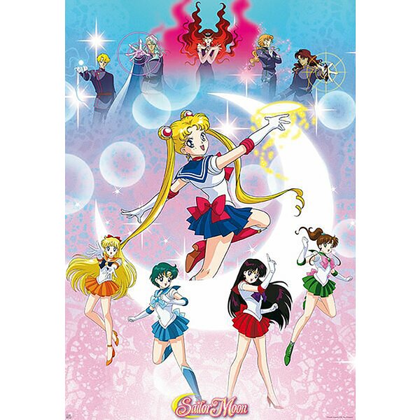 Sailor Moon Poster Moonlight