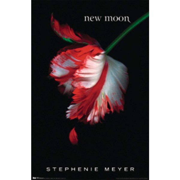 Twilight new Moon Poster