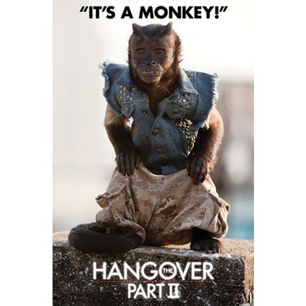 The Hangover 2 Poster Monkey