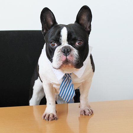 Feelgood Manager